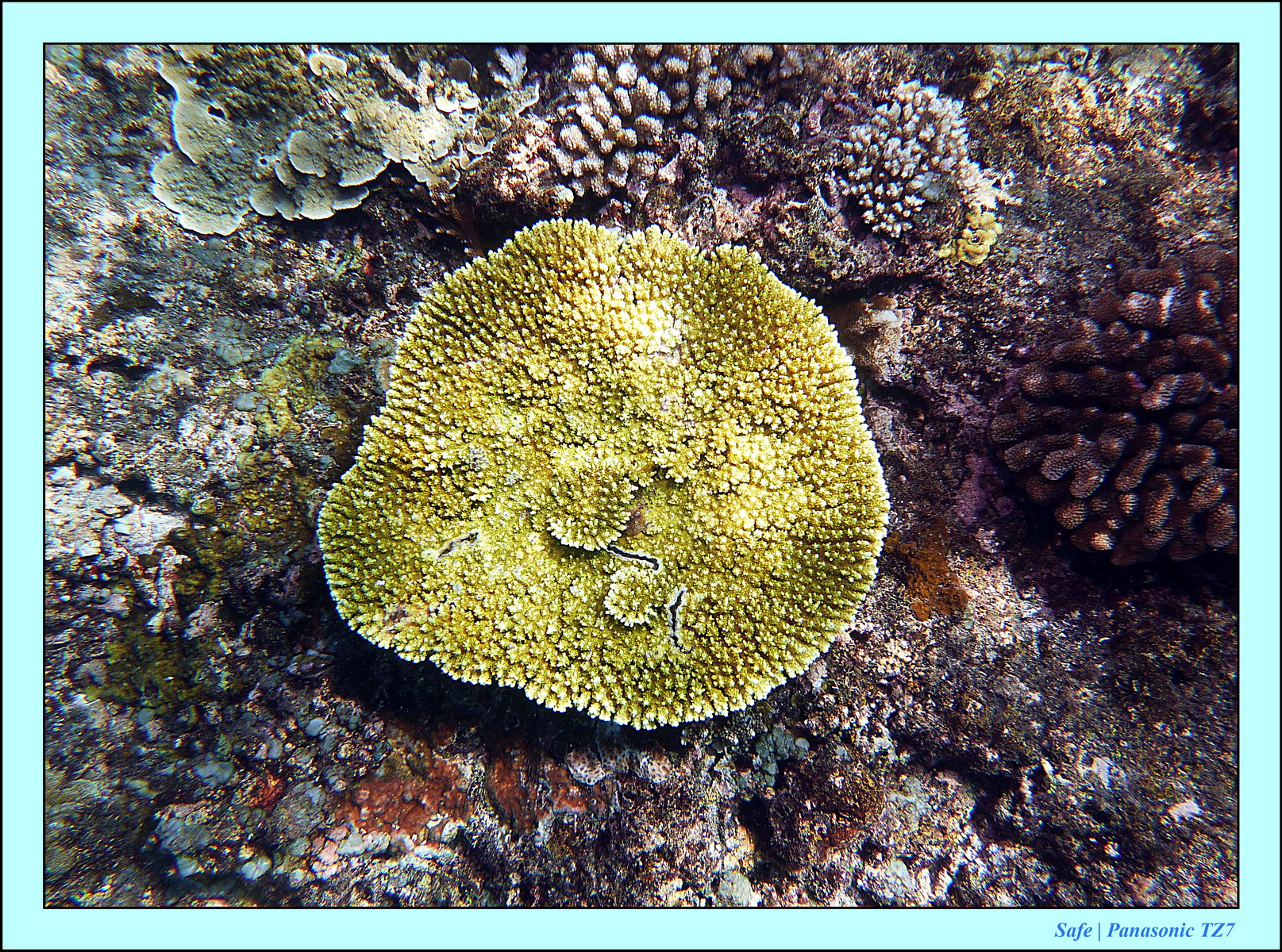 2012 - 07 - Gili - 67